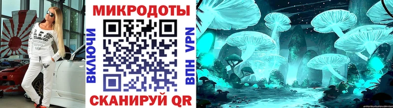 Галлюциногенные грибы Cubensis  закладка  Болхов 